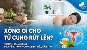 Xông Gì Cho Tử Cung Rút Lên?