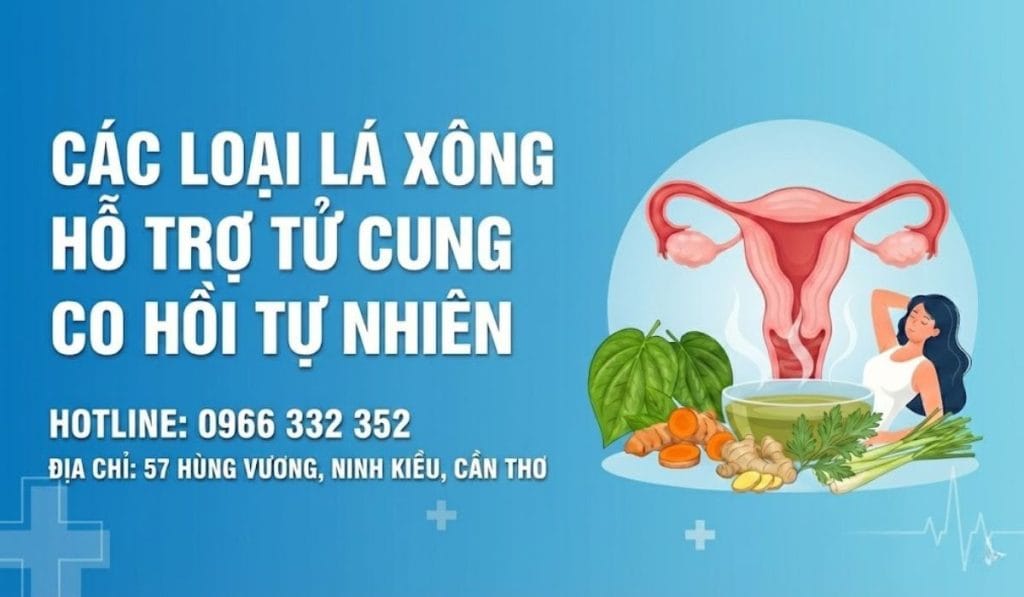 Xông Gì Cho Tử Cung Rút Lên? Các loại lá xông hỗ trợ tử cung co hồi tự nhiên