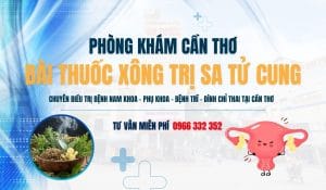 Bài Thuốc Xông Trị Sa Tử Cung