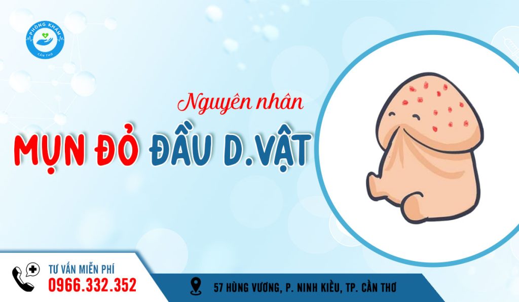 Nổi mụn đỏ ở đầu dương vật là bệnh gì?