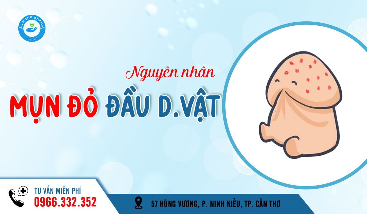 Nổi mụn đỏ ở đầu dương vật là bệnh gì?