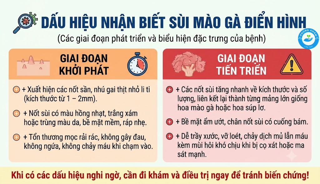 Dấu hiệu đặc trưng nhận biết sùi mào gà qua từng giai đoạn 