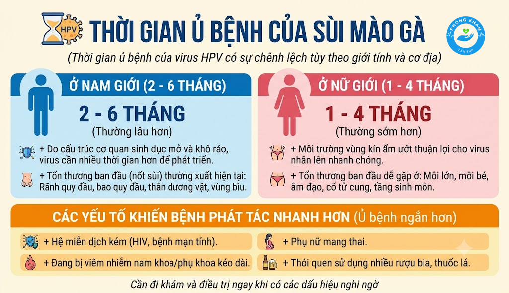 Thời gian ủ bệnh của virus HPV sùi mào gà của mỗi người là khác nhau phụ thuộc vào nhiều yếu tố